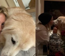 Sanem Tezman Köpek Dostu Cookie’yi Kaybetti…