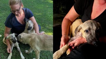 Caroline Koç, Mucize İsimli Köpeği Sahiplendi